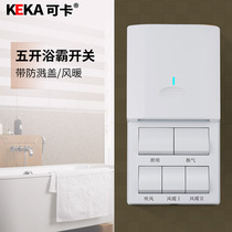 Wall Toilet Bathroom Slide Cover Bathroom Waterproof Switch Wind Warm Bath Overswitch Five Open Five Open Panel 5