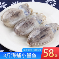 Small cuttlefish fresh cuttlefish squid seafood aquatic products fresh squid frozen chilled cuttlefish