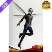 (NEW SPOT) Hottoys HT 1 6 MMS498 Yellow bee female Wasp ant 2 Hornet female show up