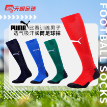 Tianlang football Puma Puma match training men breathable sweat-absorbing wear-resistant stockings football socks 701916