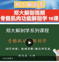 Zheng Grand Anatomical Video-Skeletal Muscle Function Anatomy -16 Lesson