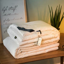 Foreign Trade Outlet 5 Stars Hotel Quilt Air Conditioning Quilted By Pure Cotton Spring Autumn Quilt Winters Thickened Warm Quilt Core Full Cotton Winter Quilt