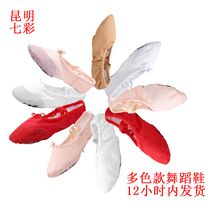 Ballet practice dance shoes adult children dance shoes girl soft bottom practice male body cat claw dancing yoga shoes