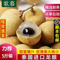 Thailand longan fresh 5 KG longan tropical imported fruit wholesale Shunfeng found pregnant women fruit