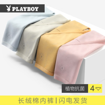 Playboy underwear womens pure cotton antibacterial breathable abdomen mid-waist cotton seamless sexy womens triangle shorts head