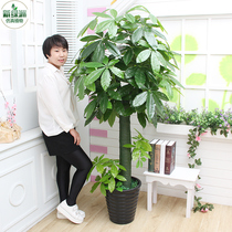  Simulation plant potted ornaments Plastic fortune tree Lucky green plant living room fake flower floor flower interior decoration large