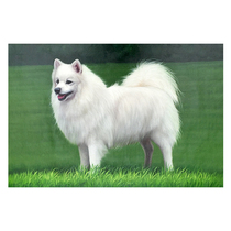 Su Zhangfengs Wangcai Realistic Boutique Oil Painting