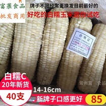 White glutinous corn frozen fresh corn cob C14-16cm40 su zhejiang shanghai anhui white glutinous corn cob