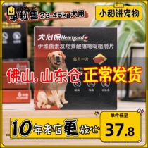 Canine Paw Beef Taste Large Dog Great Royals Wool Pooch in vivo Roundworm Beetle Drug Reptile Drug Heart Mitosis 1 Grain