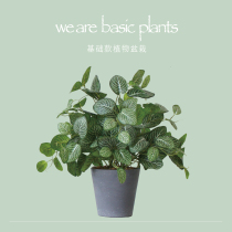  Simulation green plant potted basic leaf-viewing plant Eucalyptus home living room dining room office desktop decoration
