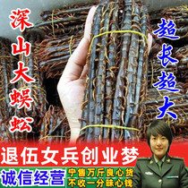 Centipede Chinese herbal medicine centipede dry centipede 100g big centipede dry centipede meat without bamboo stick centipede red head centipede