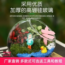 Creative multimeat moss microscape desktop glass bottle green planting potted DIY material bag cute swing piece package