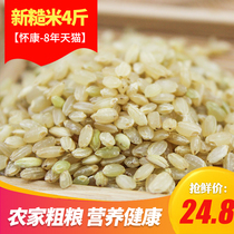 Brown rice Wuchang brown rice 4kg Northeast brown rice germinated coarse grain germ rice 2 thousand grams will germinate brown rice