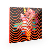 Genuine Modern Sky backsea shark band wave CD album rock music