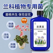 Orchid Orchid Fertilizer Orchid Orchid Root EM Bacterial Microbial Fertilizer