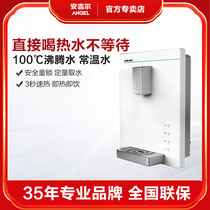 Angel pipeline machine household water water wall mounted hot and hot direct drinking large water outlet automatic Y2613