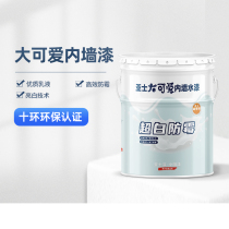 Ashes paint big cute paint interior wall paint latex paint wall refurbishment home self paint paint paint white