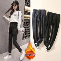 New autumn and winter plus velvet maternity pants double-sided island velvet pants padded pregnant women pants winter wear