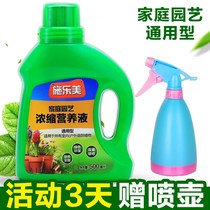 Nutrient solution hydroponic plants universal flower rooting powder multi-lingual bacteria green radish and bamboo fertilizer 