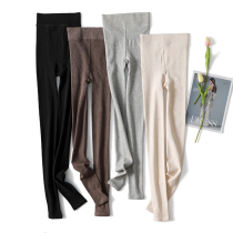 Autumn and winter nine-point leggings women wear tight velvet thread high waist belly thin women DC1-H207