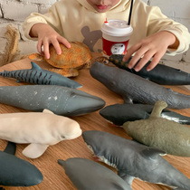 Super large soft glue simulation marine animal model creatures big shark blue whale Penguin sea turtle giant tooth shark enamel toy