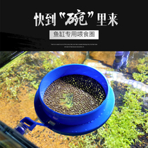  Fish feeding ring Fish tank Small tropical fish food fish food feed feeding ring Feeding ring buoyancy feeder