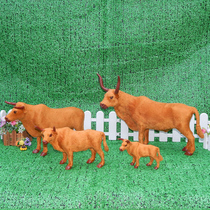 Scalbull Emulation Toy Scalloo Model Bull Doll Emulation Animal Swing Piece Small Scalloin Simulation Bullbull Buffalo Model