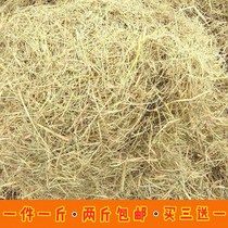 Dry Straw Warm Play Eating Coarse Fiber Promotes Digestive Natural Airing Soft Straw 1 Catty To Buy Three Delivery One