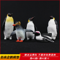 Simulation of marine life animal model emperor penguin toy solid plastic children cognitive science education Boy gift