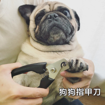 Japanese Dodgman Bago French nail clippers cat dog nail clippers pet nail clippers large