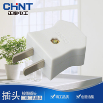 Chint single-phase two-plug 10A 250V household high-power power plug 2-pin anti-drop pure copper flat plug