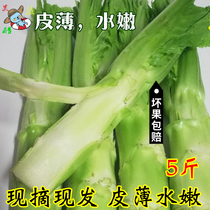 Sichuan specialty fresh vegetables sticks vegetables green bamboo shoots mustard green vegetables red vegetables whole box of 5kg in the season