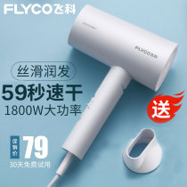 Feike hair dryer Household negative ion protection power generation Hair dryer Barbershop special hair salon Hair stylist hair dryer