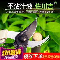 Whole Branches Shezokawa Ji 130T Japan Steel Gardening Scissors Repair Branch Cut of fruit tree Cut Bonsai Cut coarse branch scissors