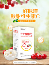 Selego Needle Leaves Peach Cherry VC Vitamin C Baby Children Snacks Accessory 100 Slices Buy 3 Send 1