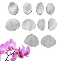 New products Import emulation English Candy Flower Butterfly Blue Petal Textured Silicone Mold Bread Flower Leaf Mold