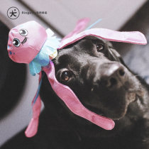 Whether you love or not love to swim you must collect the series of RingoGo exclusive water special voice dog toys