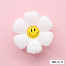 Babys birthday arrangement childrens birthday party decorations cartoon pony theme handheld aluminum film balloon