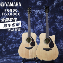 YAMAHA Yamaha FG800 FGX800C single board folk electric box acoustic guitar Beginner student entry piano