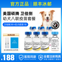 Pfizer Weijia 8 vaccine puppy dog eight dog vaccine Weijiabao rabies vaccine dog with a package needle