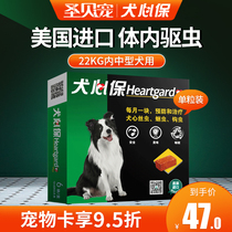 Dog Hearts Insured Midsize Dog Forain Nforain Dog Hearts Treasure Body Insect Repo Dogs Beat Bug Drug Heart Silk Worms Single Grain