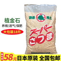 Japan plant gold stone Satsuma stone Orchid soil fleshy particles Phalaenopsis Gentleman special paving stone Orchid stone import