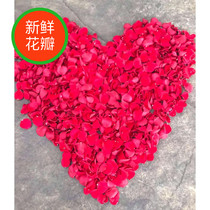 Base straight hair 520g fresh rose petals birthday decoration decoration decoration ask wedding celebration hand sprinkle flowers to express romance