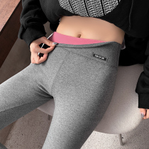 Underpants woman outside wearing autumn and winter thin section pure cotton high waist grey plus suede elastic tight fit small foot 80% pants
