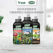 (Hongyue) Flower color master concentrated nutrient solution effect fast flower type universal 550ml bottle fertilizer