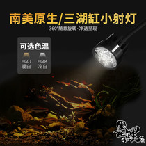 Clear water wind and LED fish tank spotlights South America shaped African three lakes native fish tank spotlights grass cylinder small cylinder clip lights