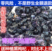 Black wolfberry wild Qinghai Nuomhong Chaidamu special structure 500g1kg non-Ningxia Xinjiang no-wash