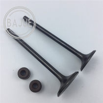 Suzuki American Prince GZ125HS Drill HJ125K-2 A-3 Valve Valve Valve Valve Seal