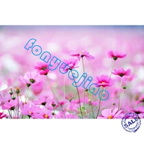 Photoalbum production system photo album production management software photo album making system