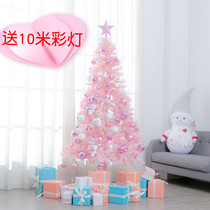 Pink Christmas Tree Decoration Home Swing 1 5 1 8 2 1 m Package mall tennis red ins decorative items